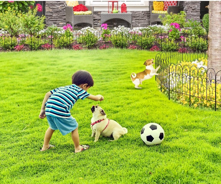 Garden Fence