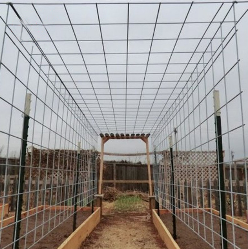 Plain welded Wire Mesh