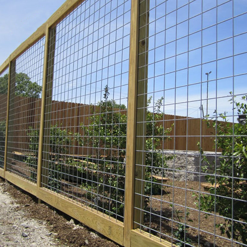 Plain welded Wire Mesh