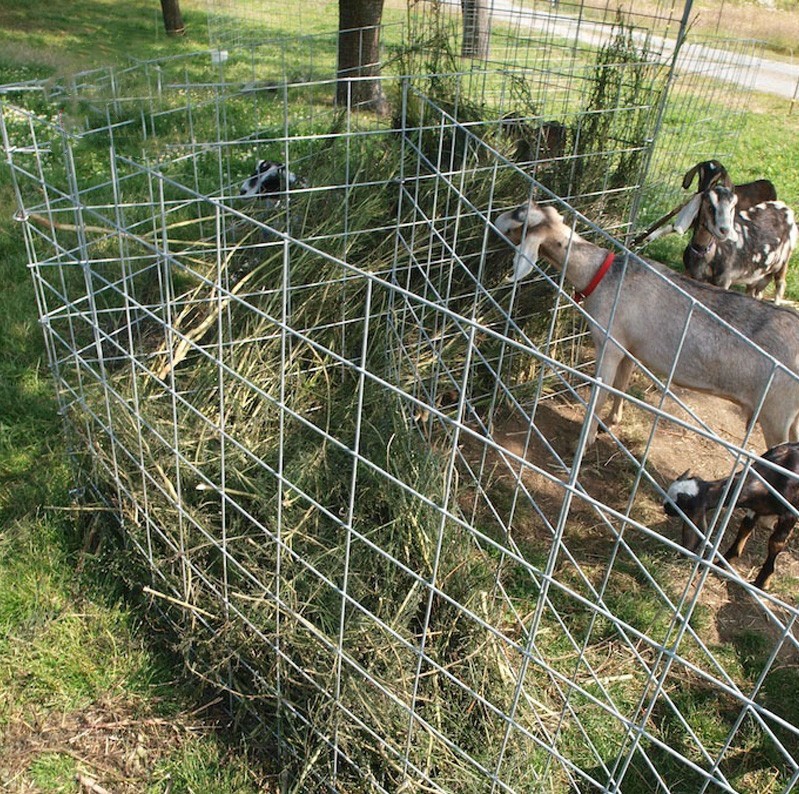 Plain welded Wire Mesh