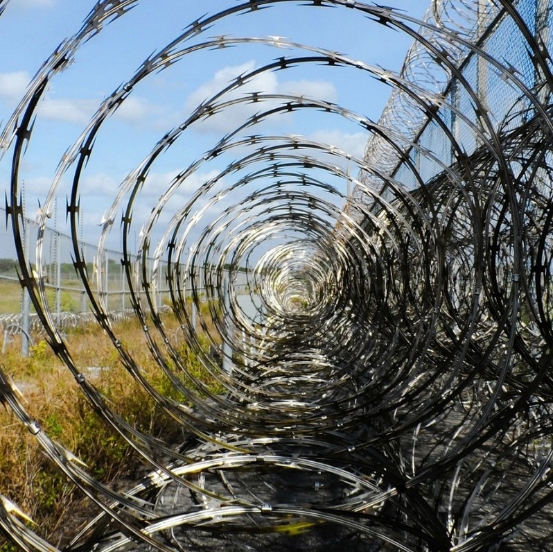 Hot sale Razor barbed wire