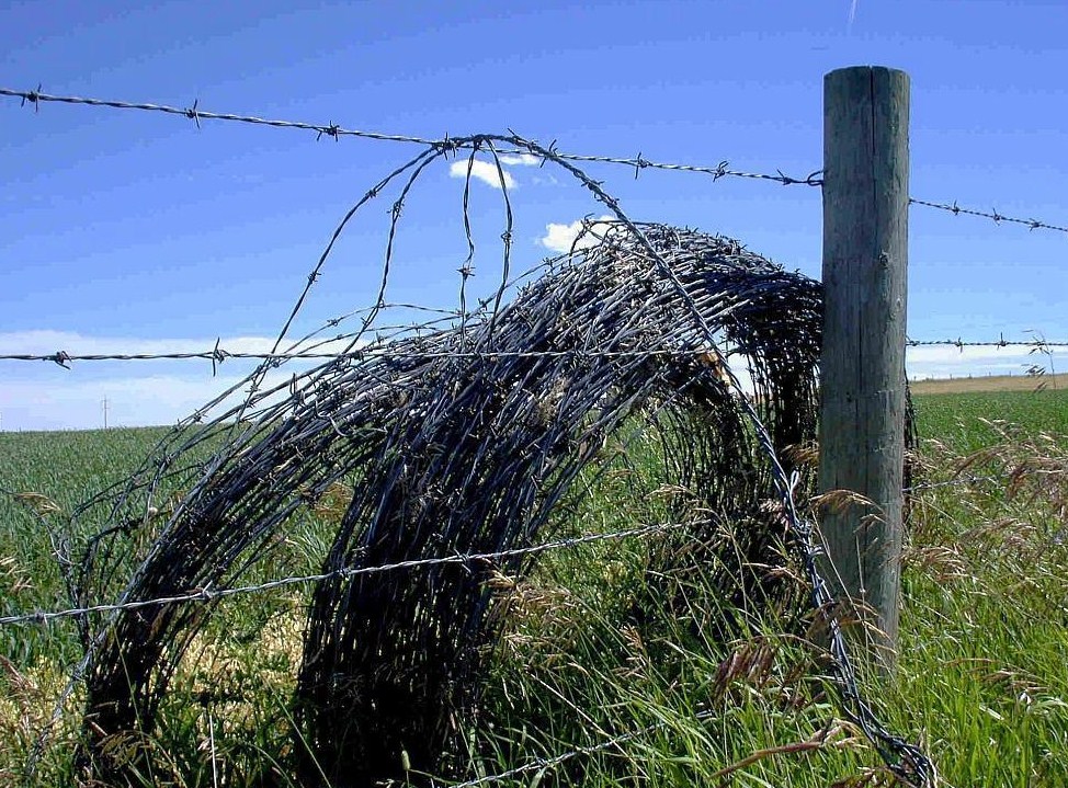 Razor Barbed wire