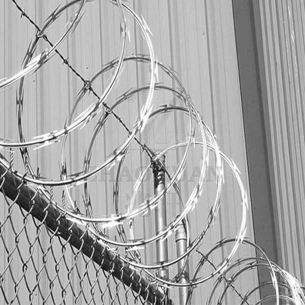 Hot sale Razor barbed wire
