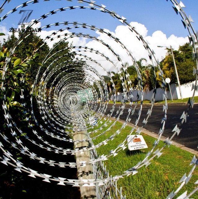Concertina Razor Barbed Wire