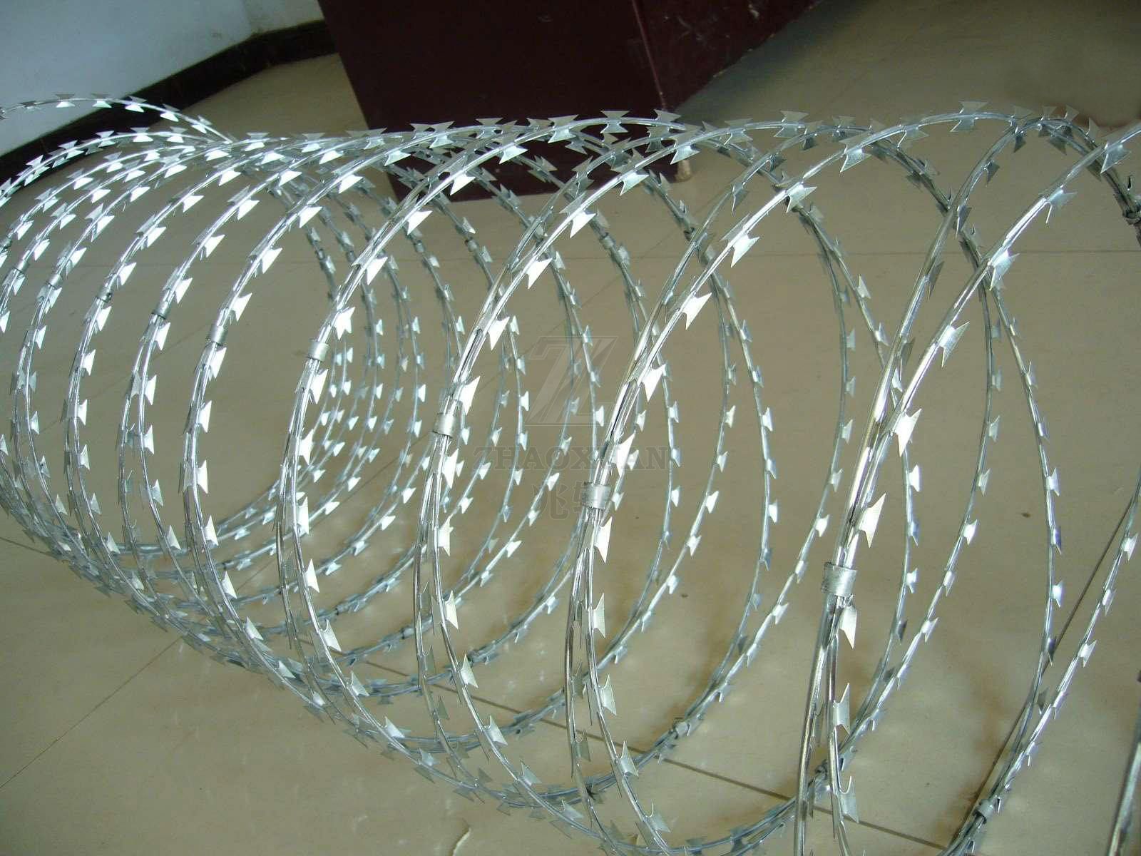Hot sale Razor barbed wire