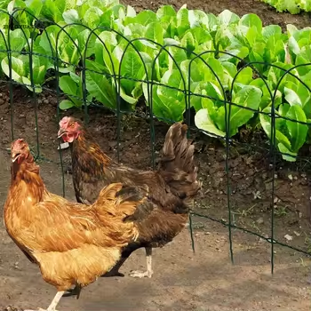 PVC Coated Border Fence /decorative garden fence