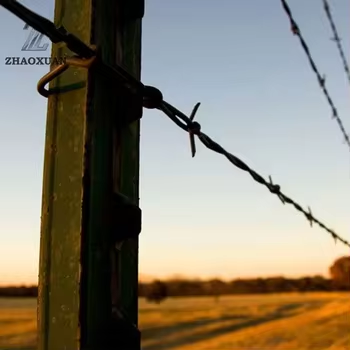 Barbed Wire