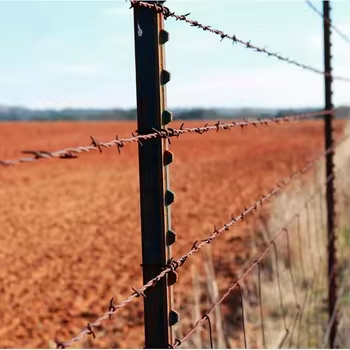 Barbed Wire