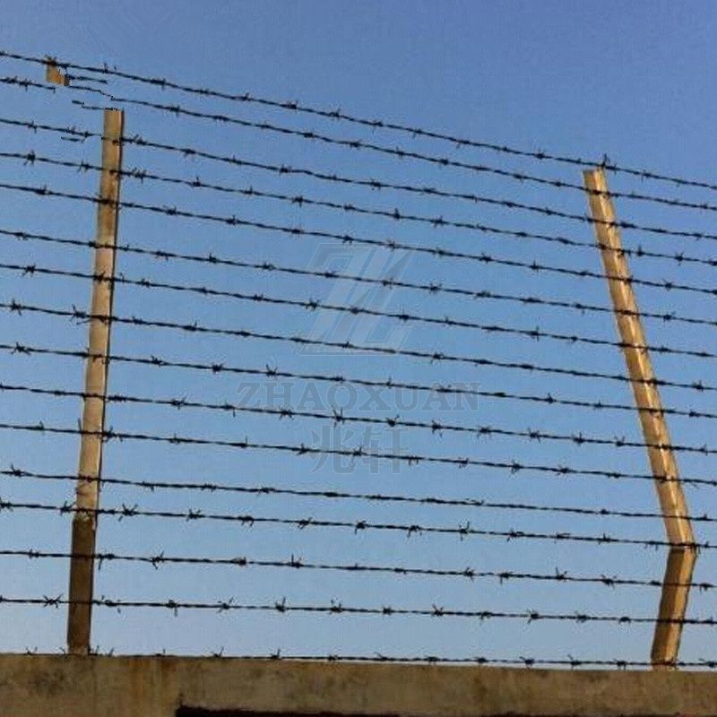 Barbed Wire