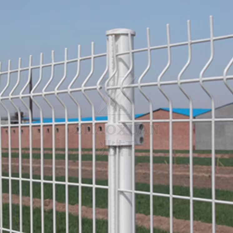 Economical 3D Curved Wire Mesh Fence