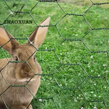 Hexagonal Chicken Wire Mesh