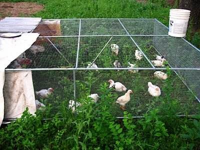Hexagonal Gabion Box