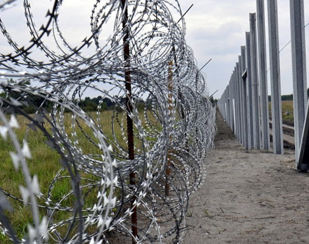 Hot sale Razor barbed wire