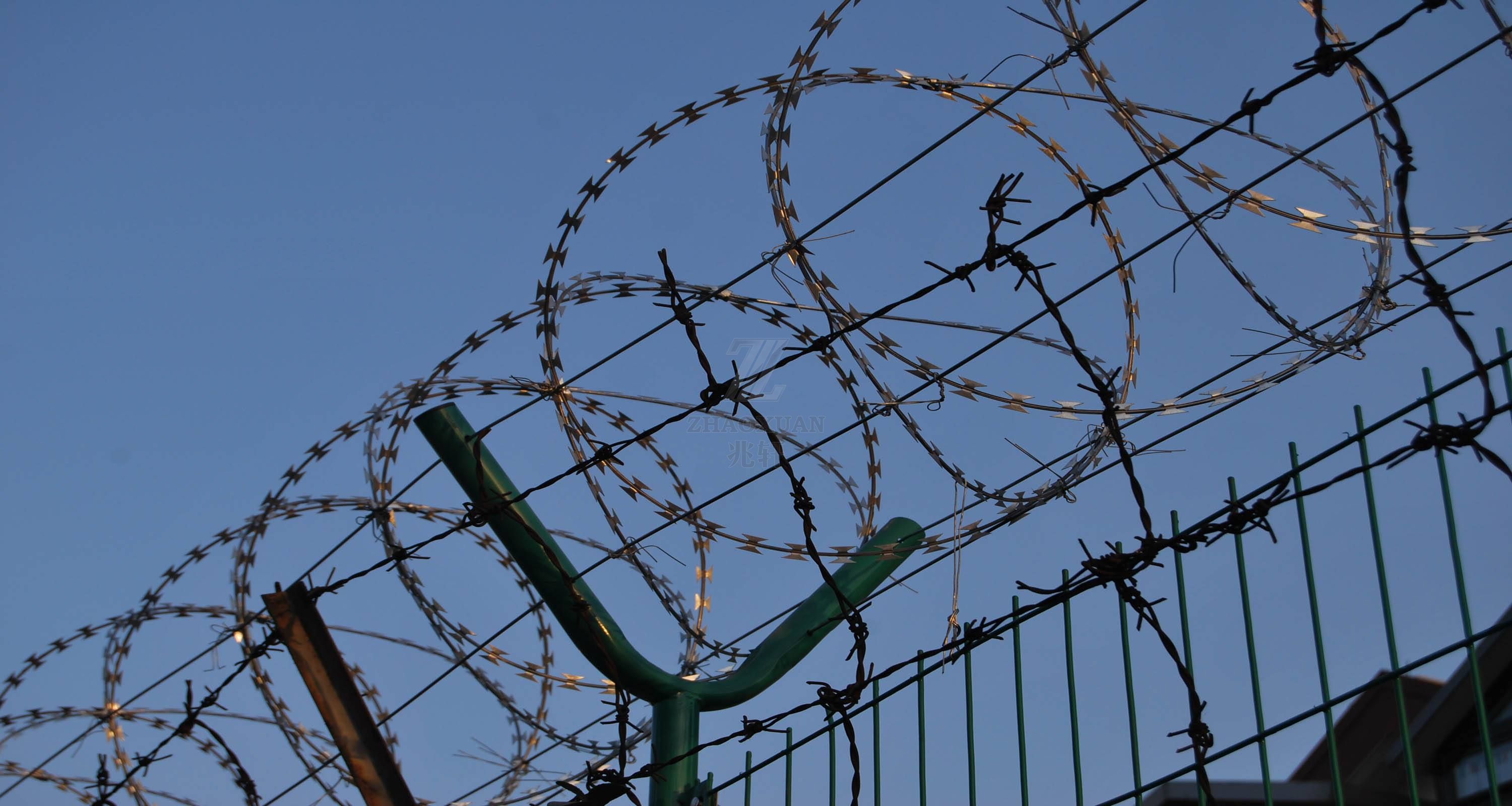 Hot sale Razor barbed wire