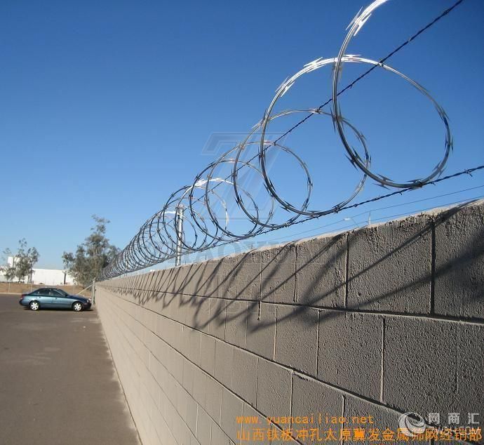 Hot sale Razor barbed wire