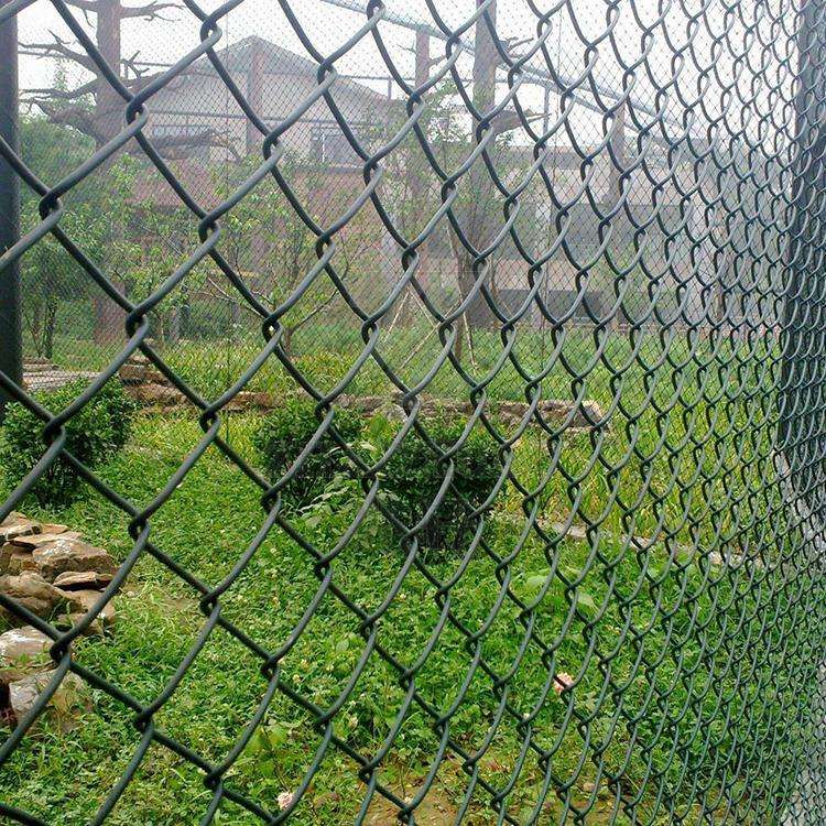 PVC chain Link Fence