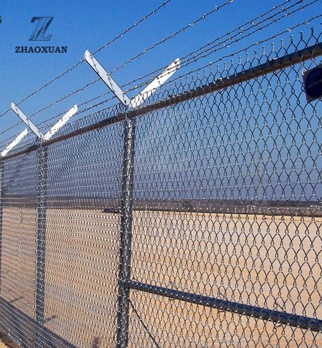 Galvanized Barbed Wire