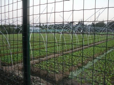 Euro fence